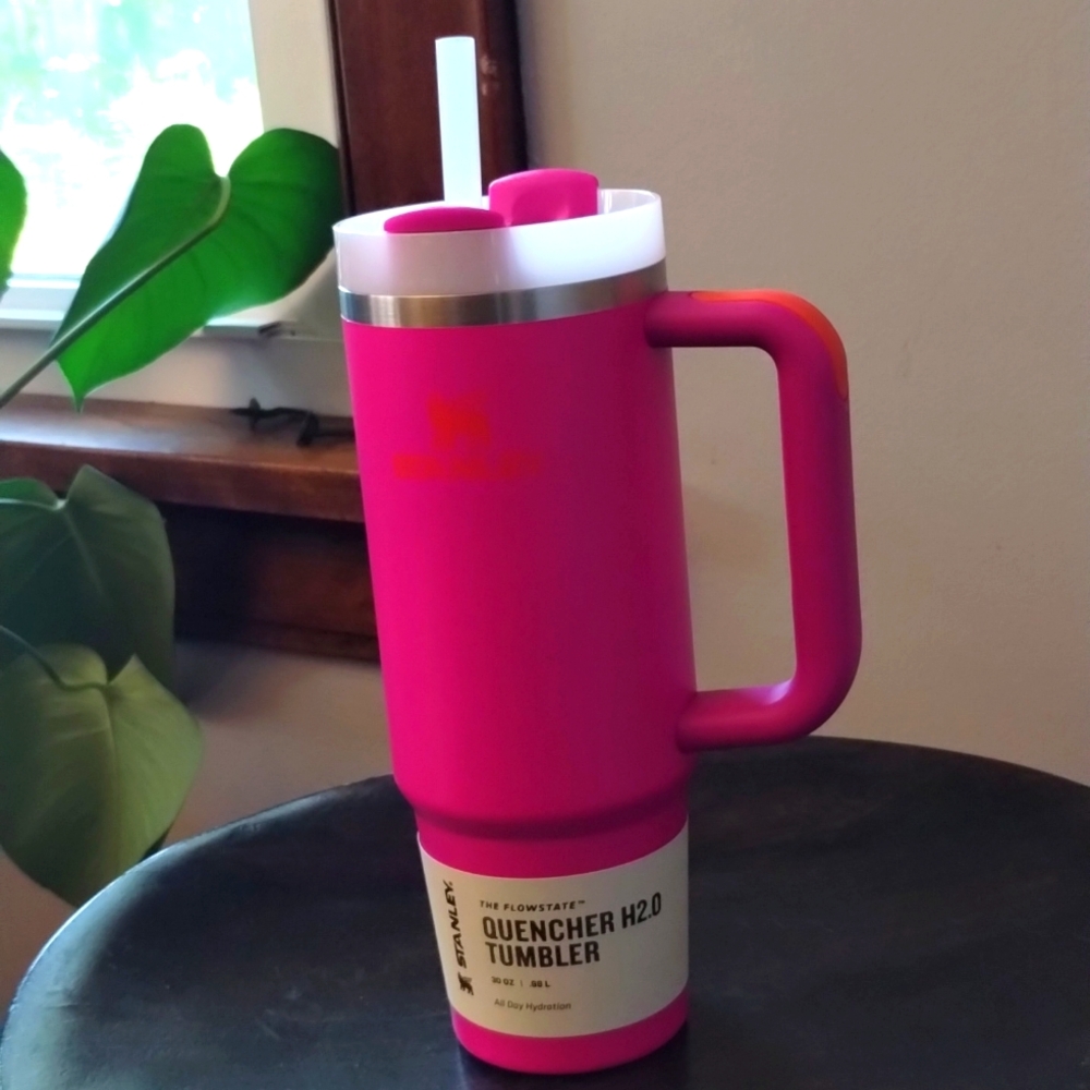 Stanley Thirstquencher H2O Tumbler 30oz Vivid Violet - NWT